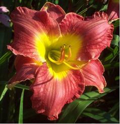 Kathy Becker